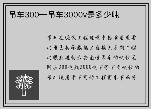 吊车300—吊车3000v是多少吨